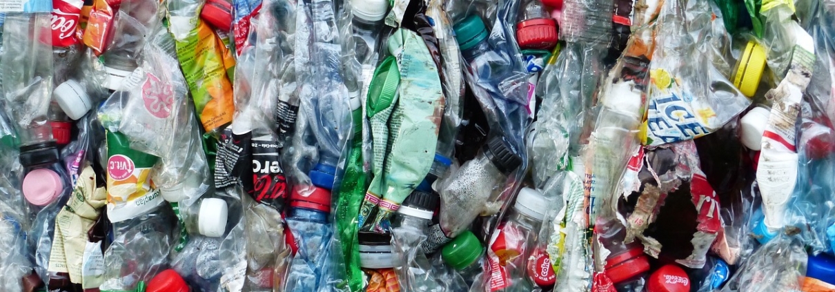 Plastic bottles being recycled in light of the new EU recycling standards.