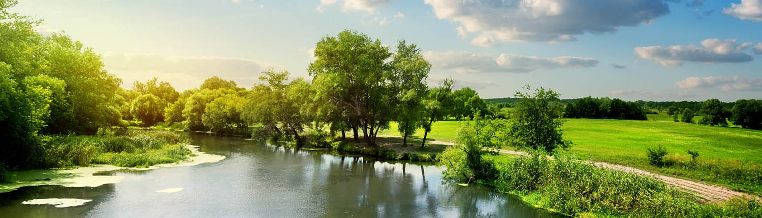 PPP Gestión medioambiental y sistemas de gestión medioambiental